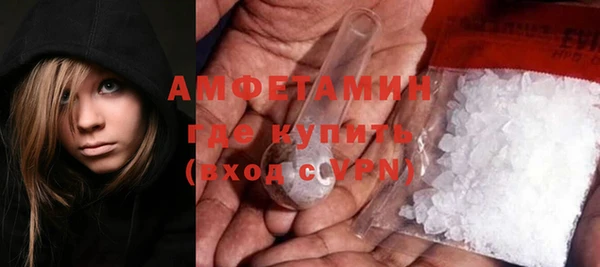 прущие грибы Балахна