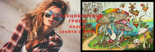 ешки Аркадак