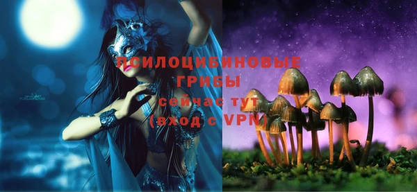 каннабис Арсеньев