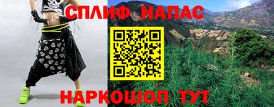 индика Гусь-Хрустальный