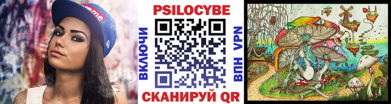 omg рабочий сайт  Новый Уренгой  Галлюциногенные грибы Psilocybe 